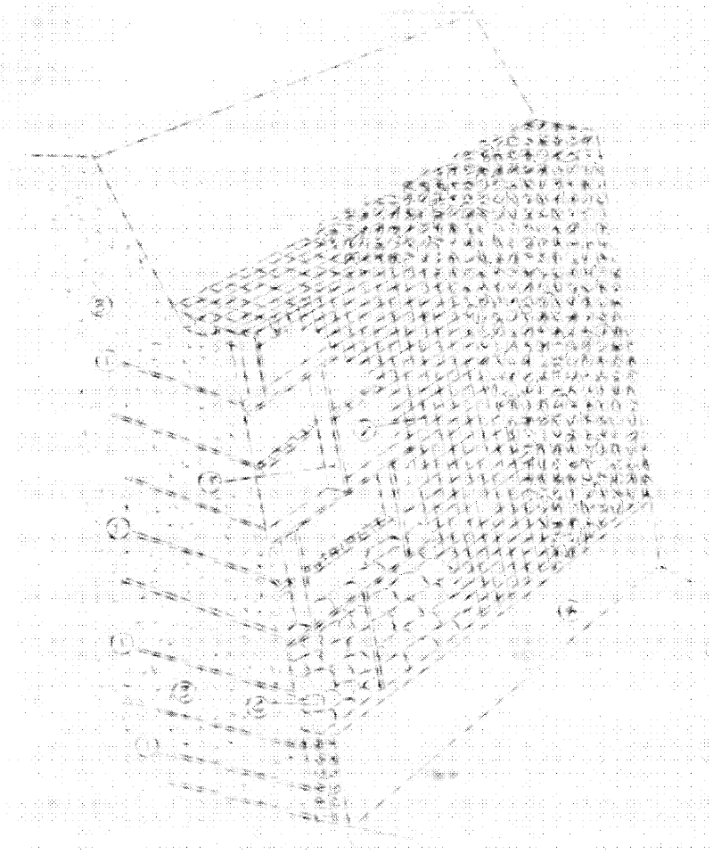 Stacked geogrid enhanced composite soil roadbed and side slope ecology protection structure thereof