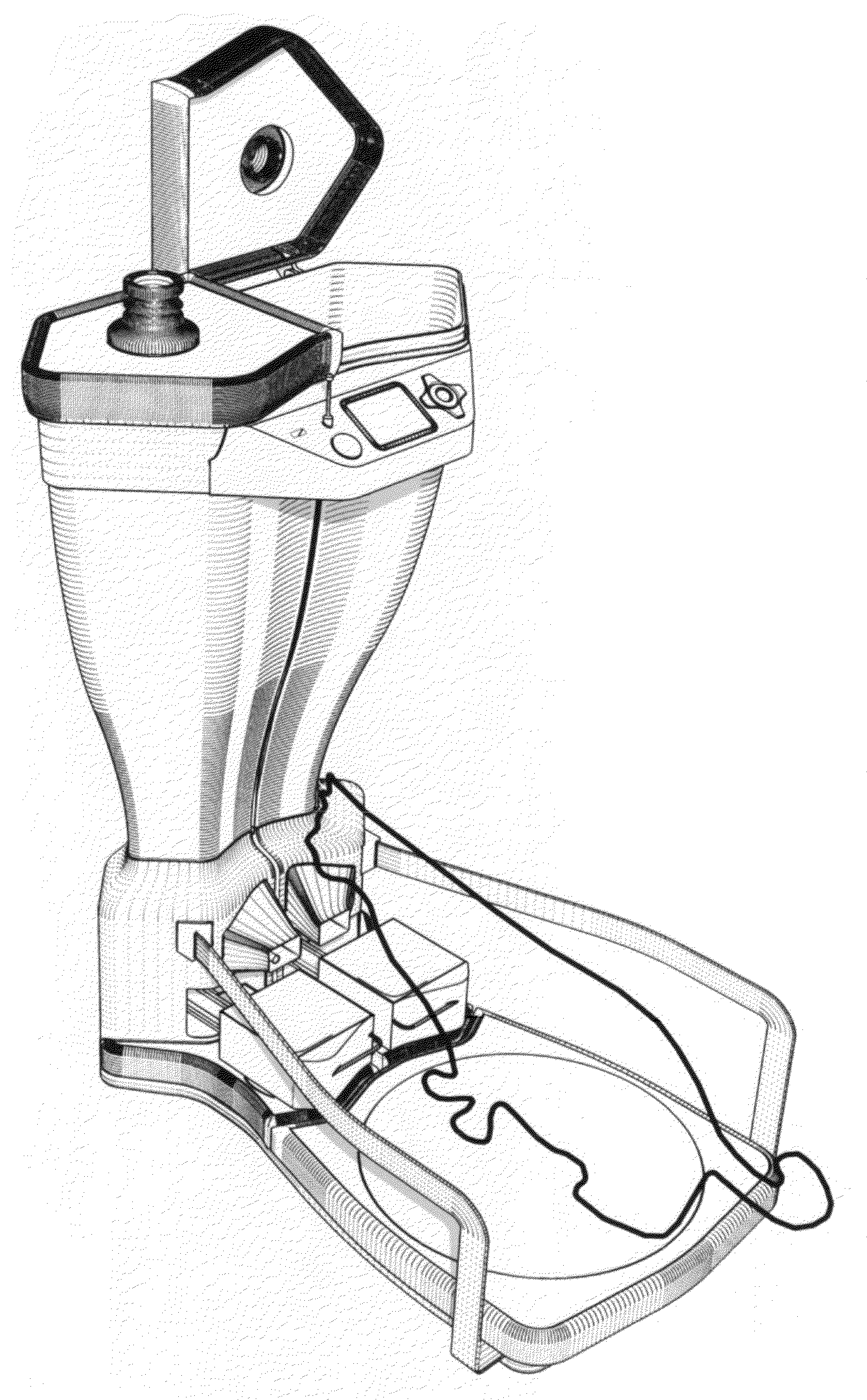 Weight Controlled Pet Feeding System