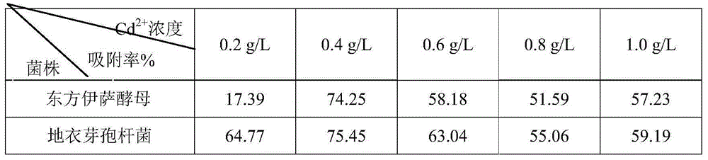 Soil heavy metal repairing agent, preparation thereof and application