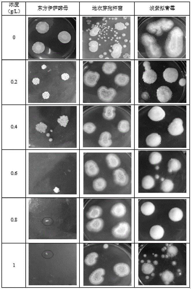 Soil heavy metal repairing agent, preparation thereof and application