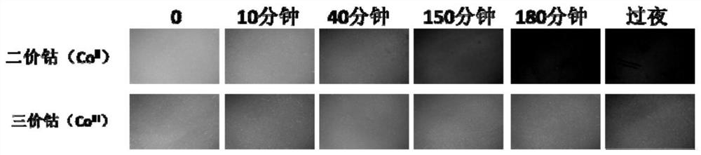 A method and application for purifying and directional immobilizing histidine-tagged protein