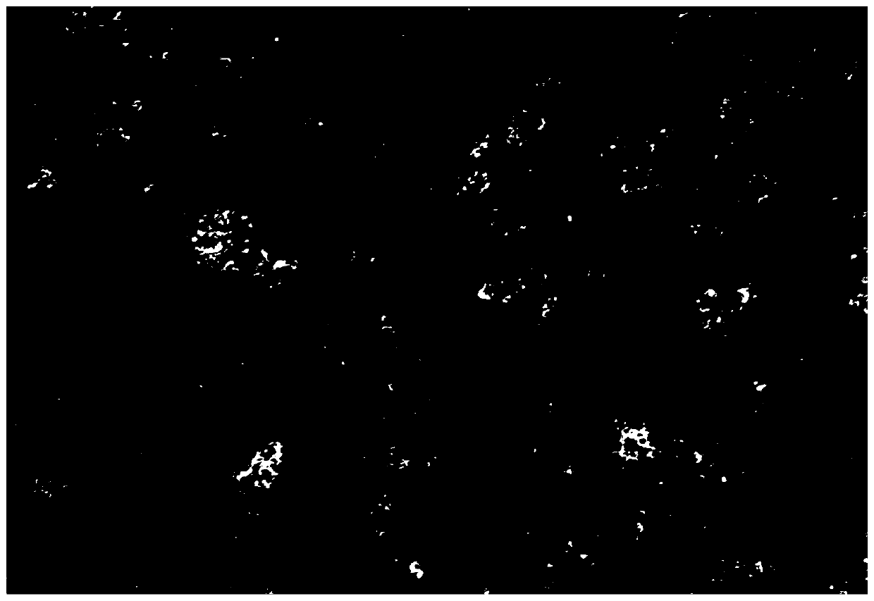 Carbon tube supported ultra-small VN hydrogen production electrocatalyst, synthesis method and application