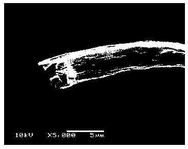 Preparation method of hollow boron/cerium co-doped nanometer titanium dioxide fiber material