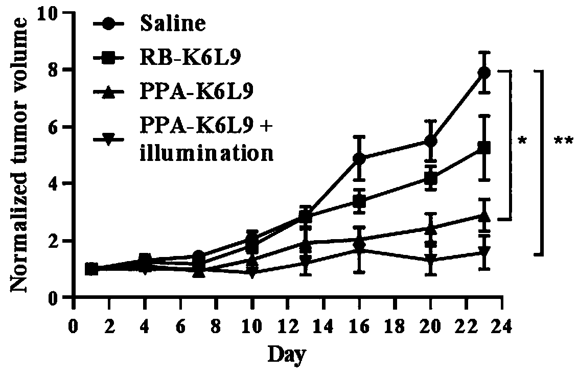 Porphyrin-modified cell-penetrating peptide and preparation and application thereof