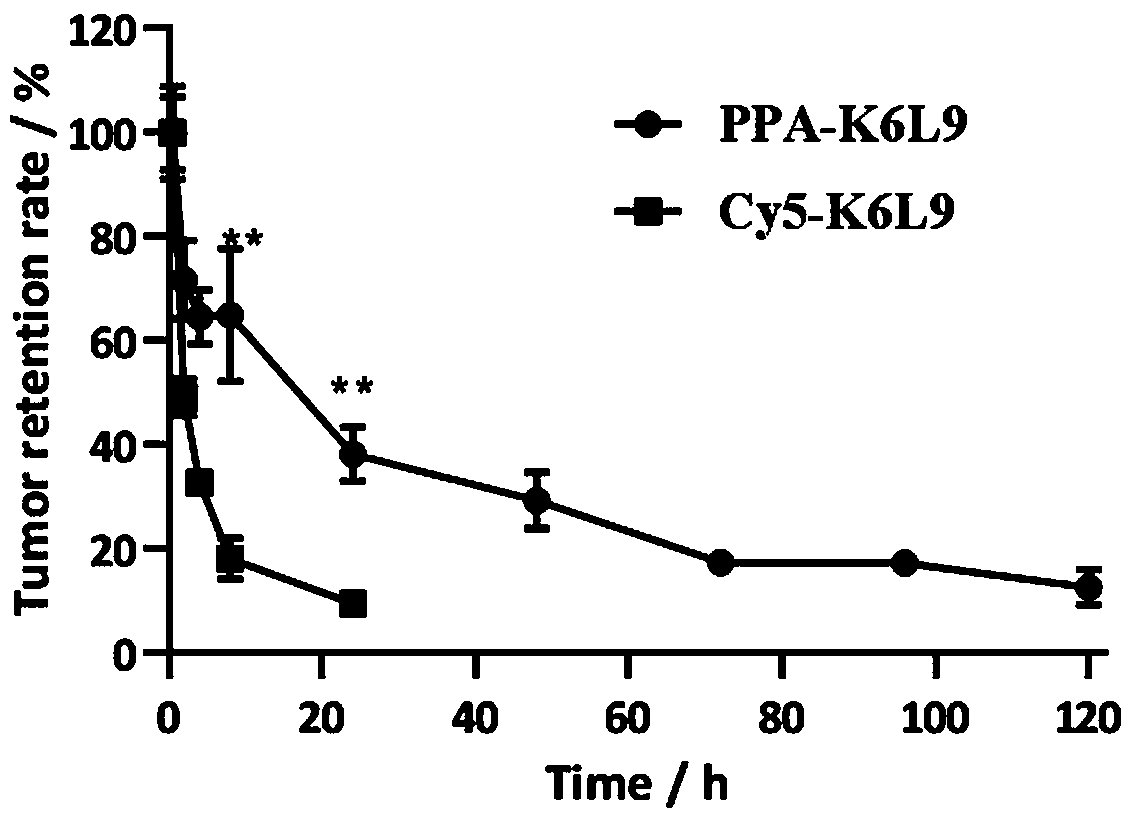 Porphyrin-modified cell-penetrating peptide and preparation and application thereof