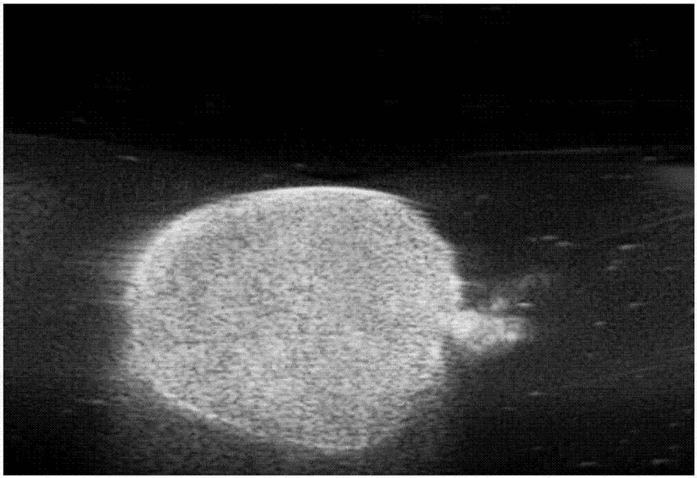 Chitosan nanometer micro-bubble and preparation method and application thereof