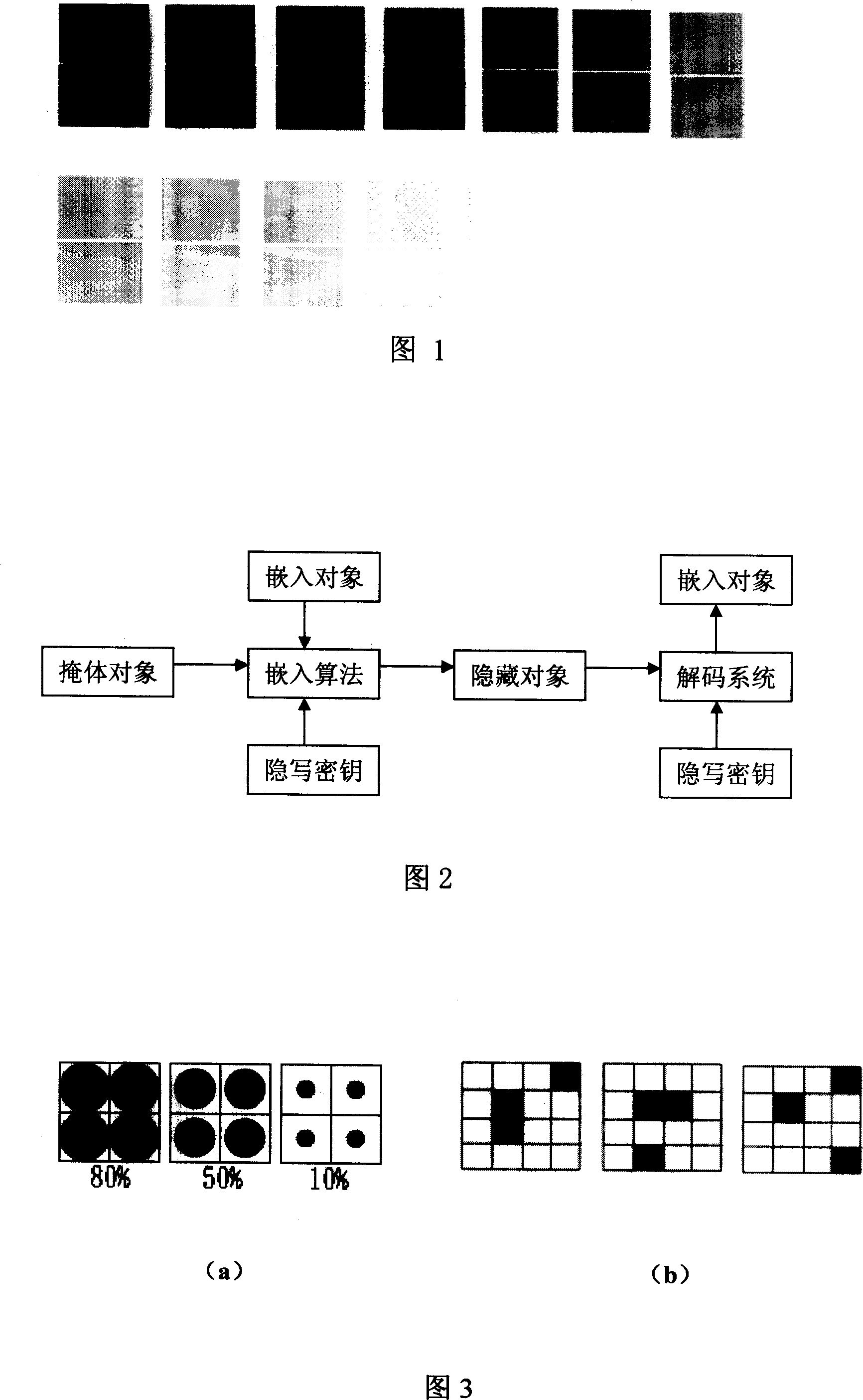 Grey scale image embedded information content analysis method