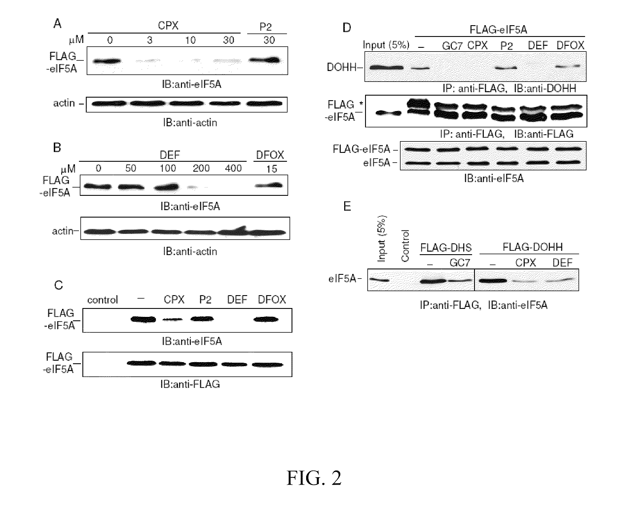 Method of inhibiting nonsense-mediated mRNA decay