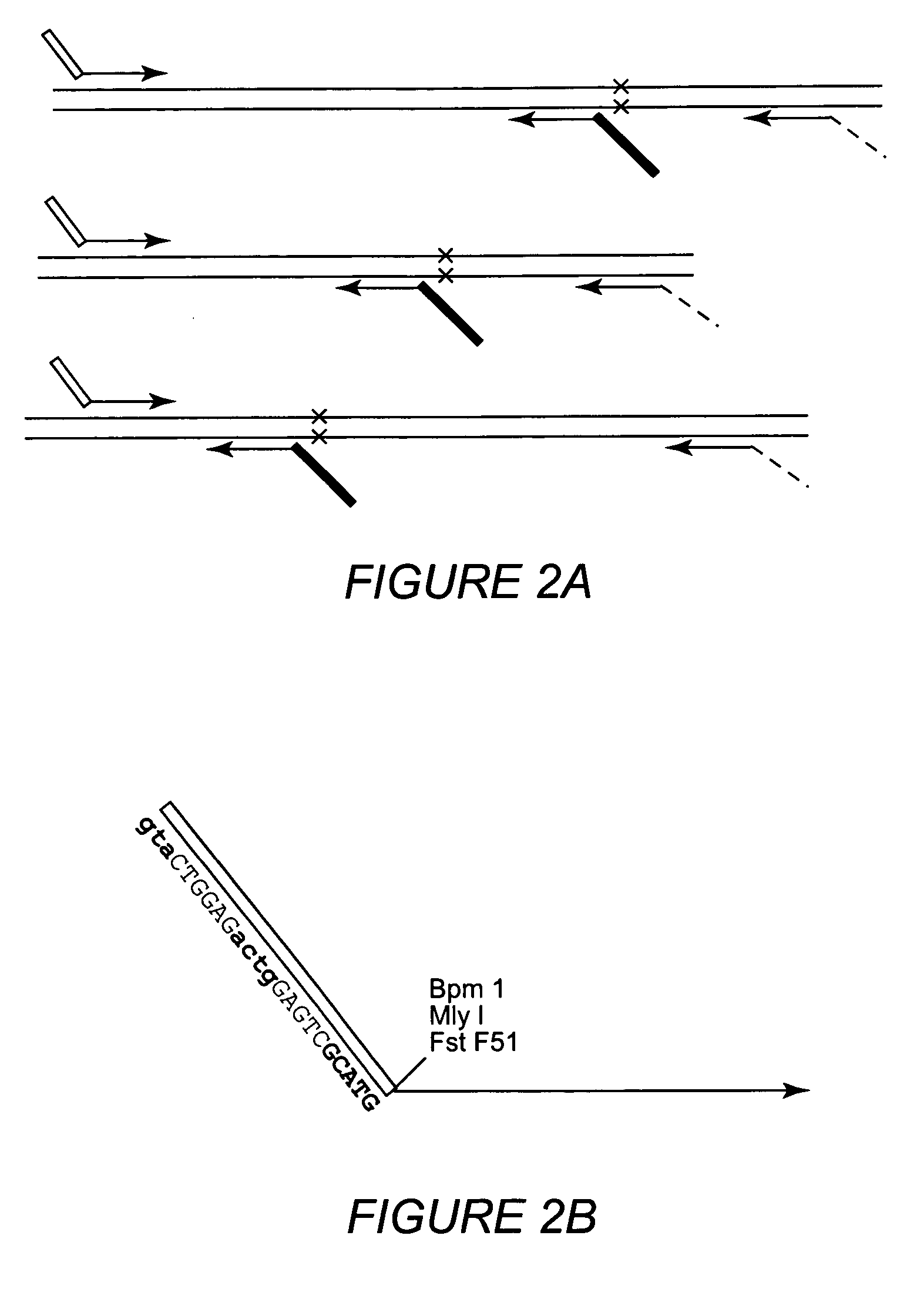 Multiple sequencible and ligatible structures for genomic analysis