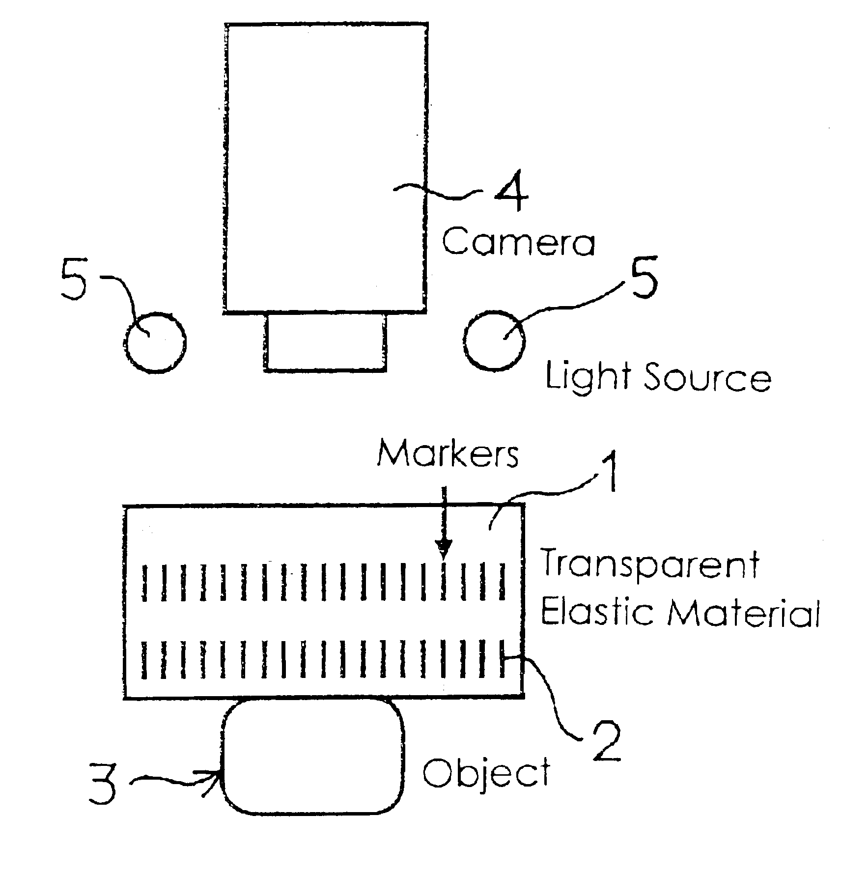 Optical tactile sensor having a transparent elastic tactile portion