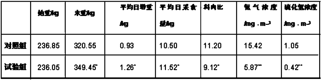 Enzyme bacterium nutrient material prepared from inferior winter jujubes and used for ruminants and preparation process of nutrient material