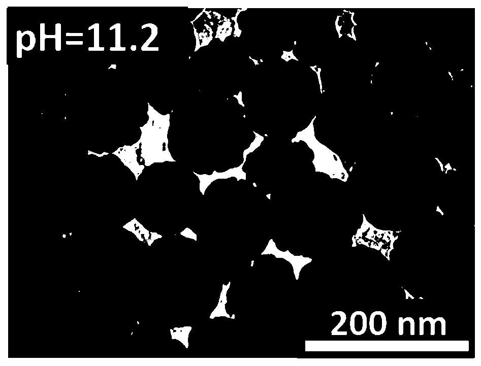 Preparation method of flower-like silver nanozyme with peroxidase activity