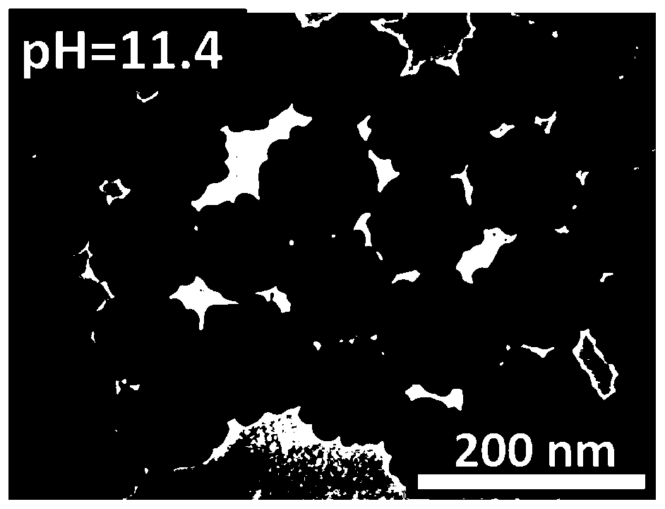 Preparation method of flower-like silver nanozyme with peroxidase activity