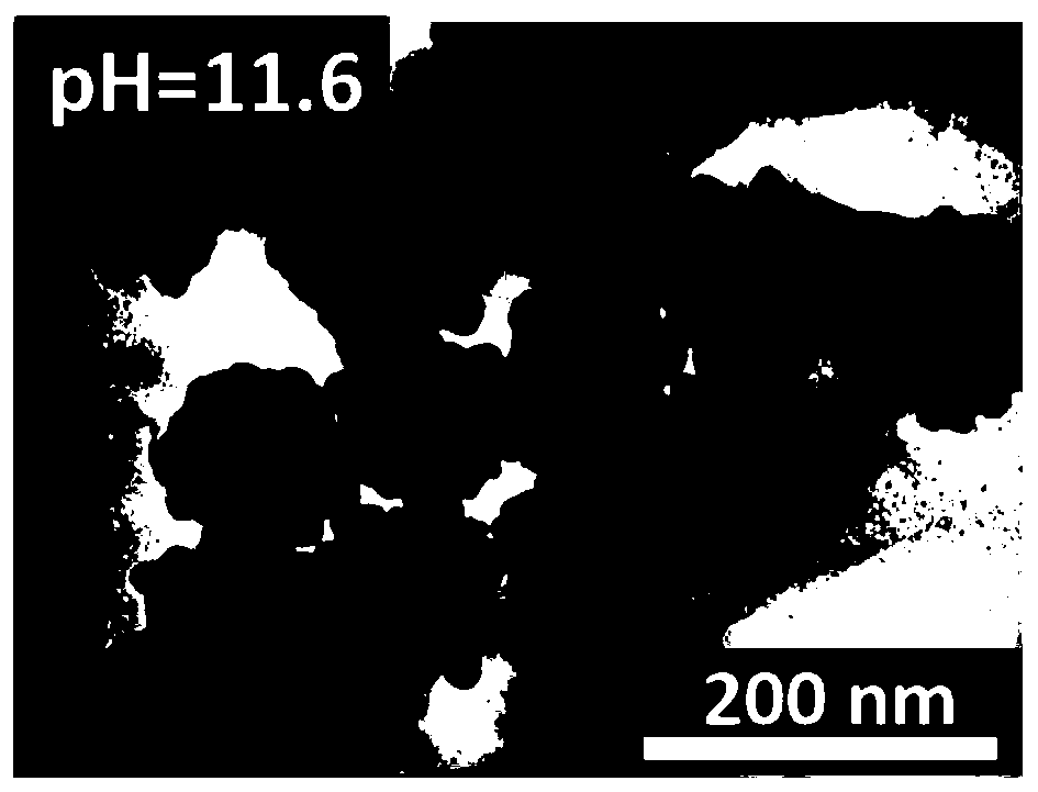 Preparation method of flower-like silver nanozyme with peroxidase activity