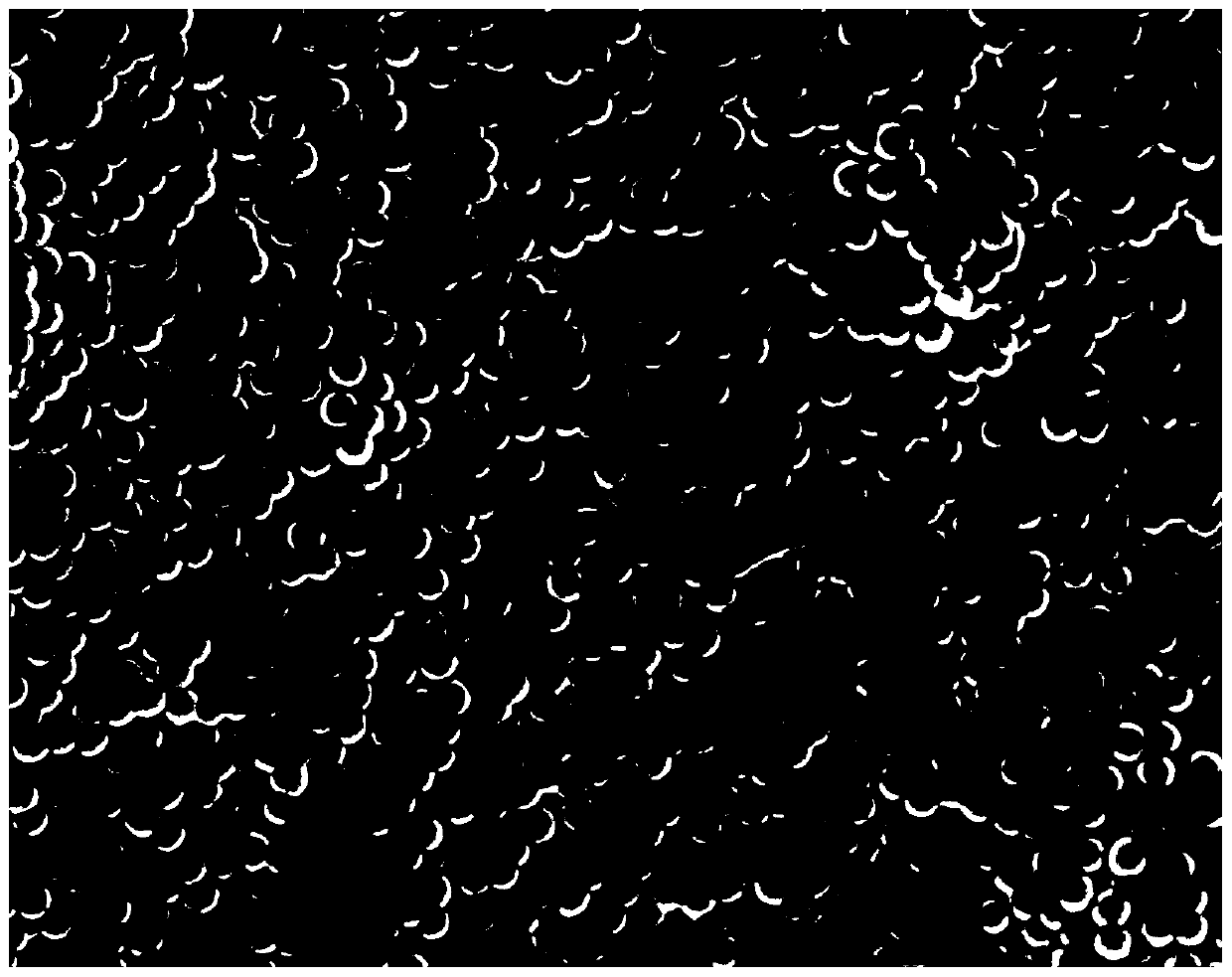 Forming method for preparing photonic crystal workpiece with different structural colors based on nano composite