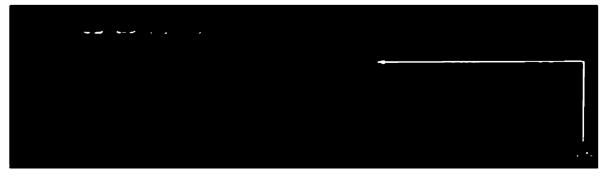 Method for identifying genetic sex of rana dybowskii by TRAP molecular marker technology