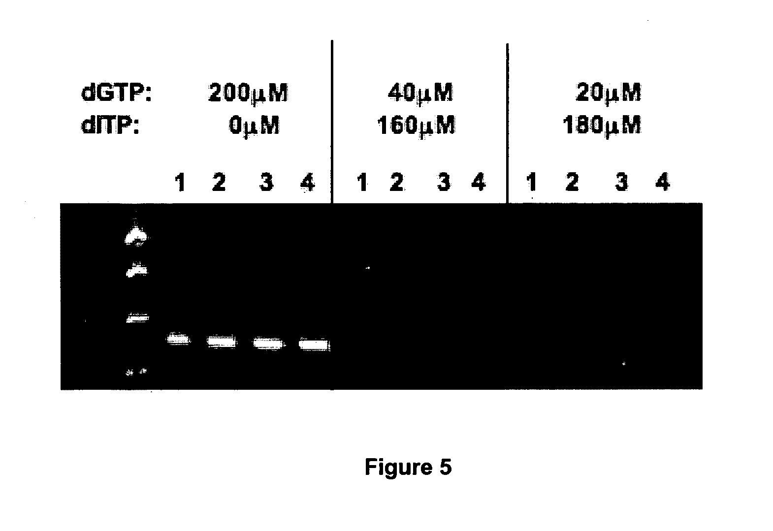 Elimination of contaminants associated with nucleic acid amplification