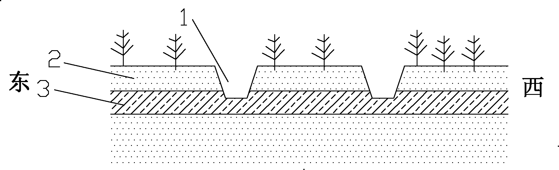 Method for improving severe saline-alkali soil by using open trench and hidden filler layer