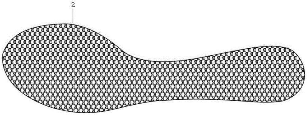 An insole lining