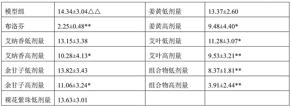 External traditional Chinese medicinal composition for treating cold womb and preparation method of external traditional Chinese medicinal composition