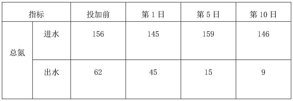 Combined fermentation method of nitrifying-denitrifying bacteria composite microecological preparation