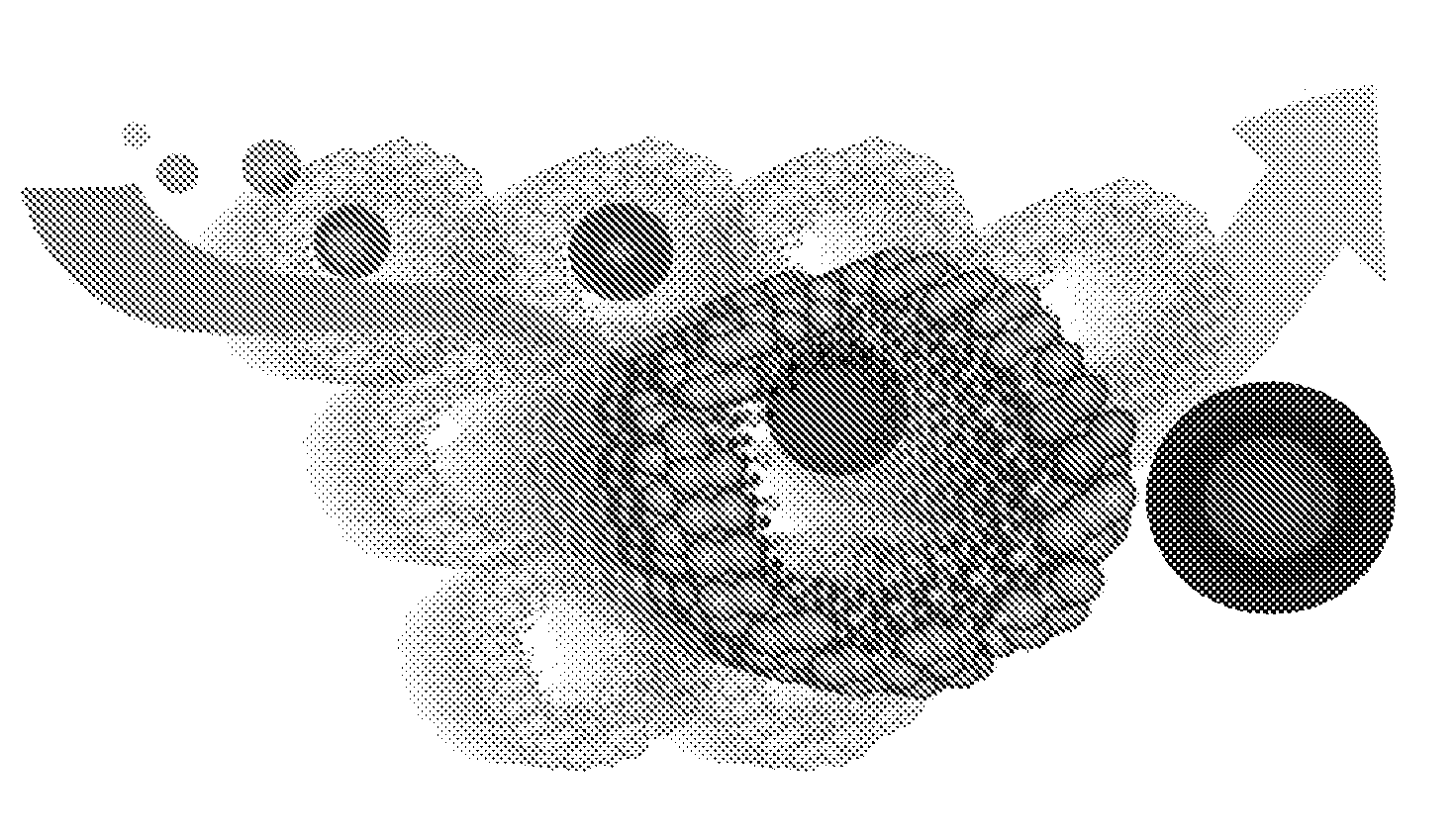 Cathode Active Material For A Lithium Rechargeable Battery And A Production Method Therefor