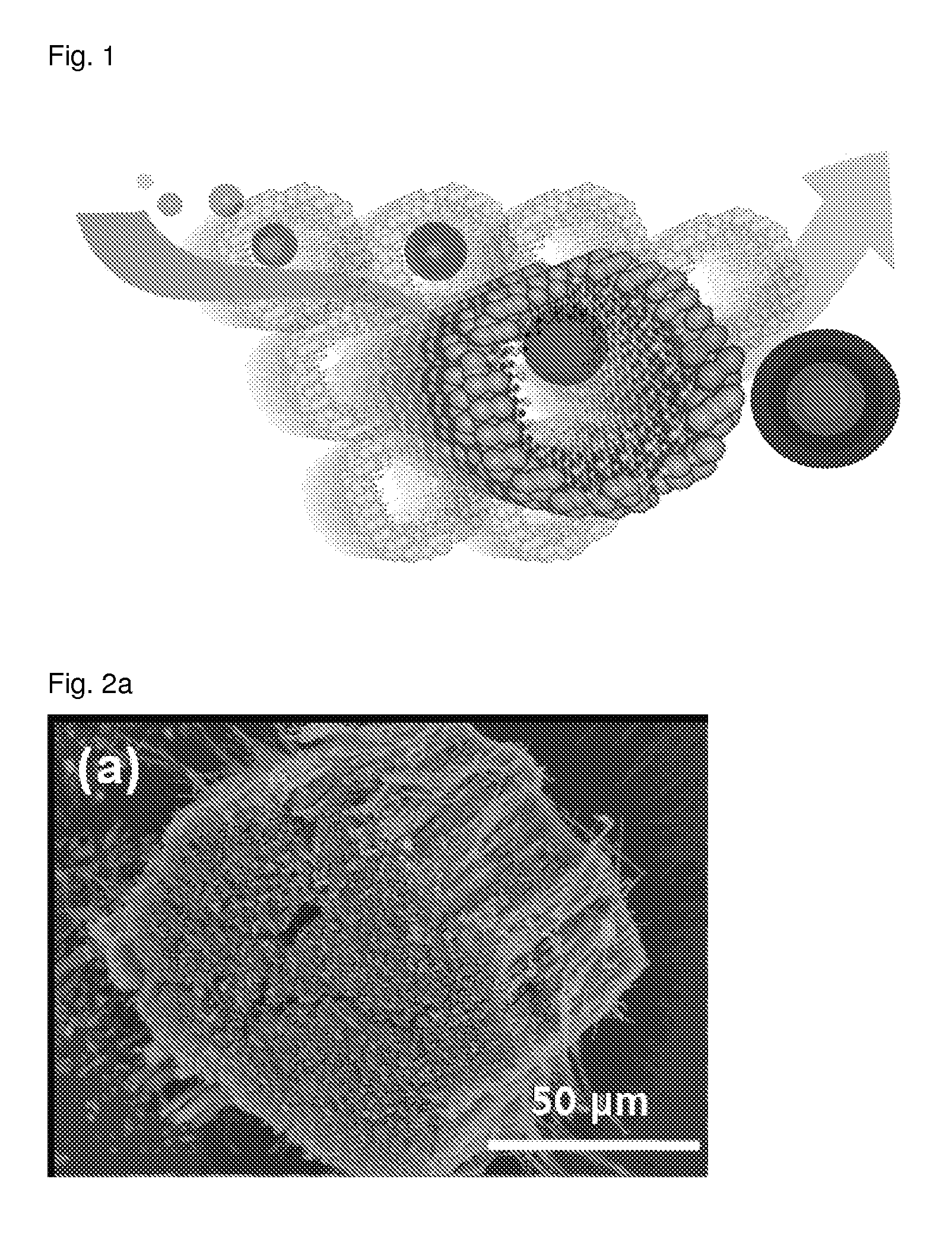 Cathode Active Material For A Lithium Rechargeable Battery And A Production Method Therefor