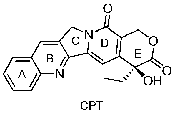 Acid-sensitive camptothecin-20-position ester derivatives and their anti-tumor applications