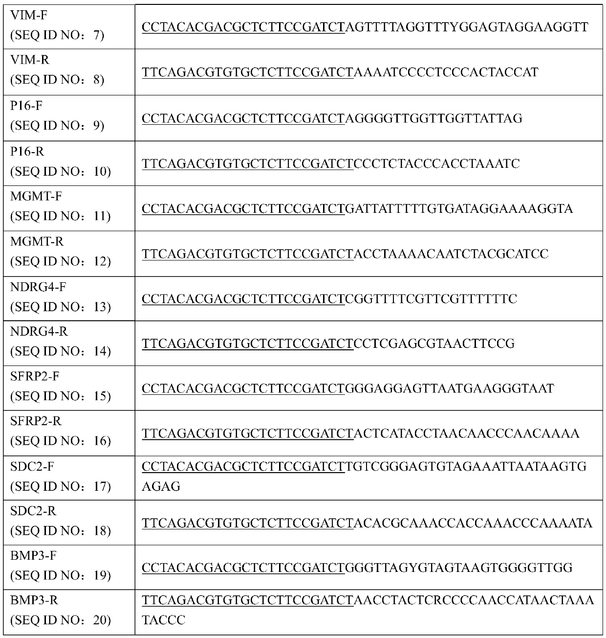 Cancer suppressor gene methylation high-throughput detection kit of colorectal cancer and application thereof