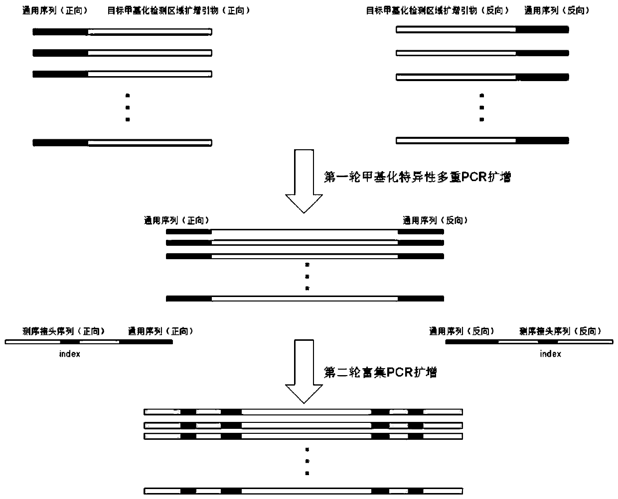 Cancer suppressor gene methylation high-throughput detection kit of colorectal cancer and application thereof