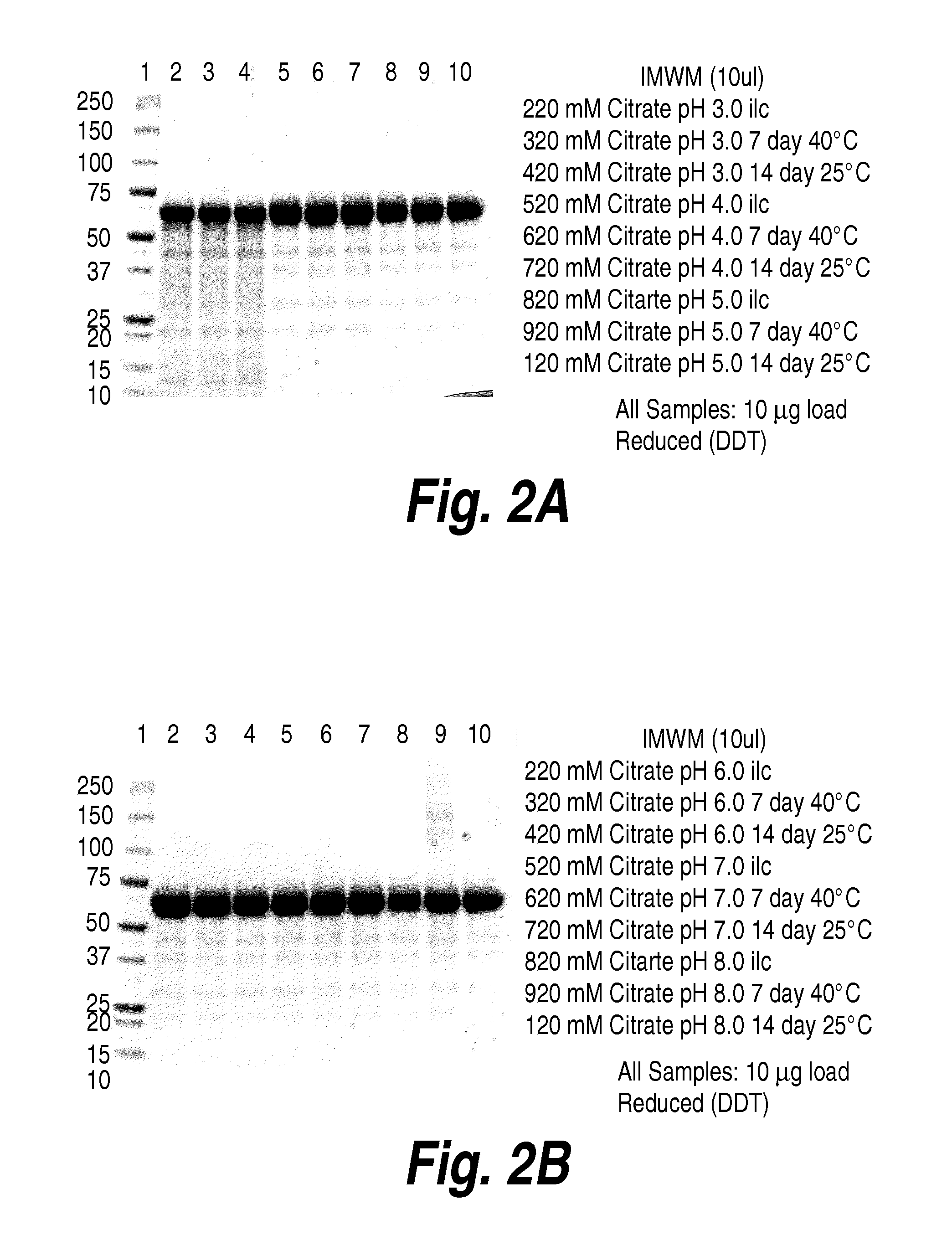 Methods and compositions for CNS delivery of heparan N-sulfatase