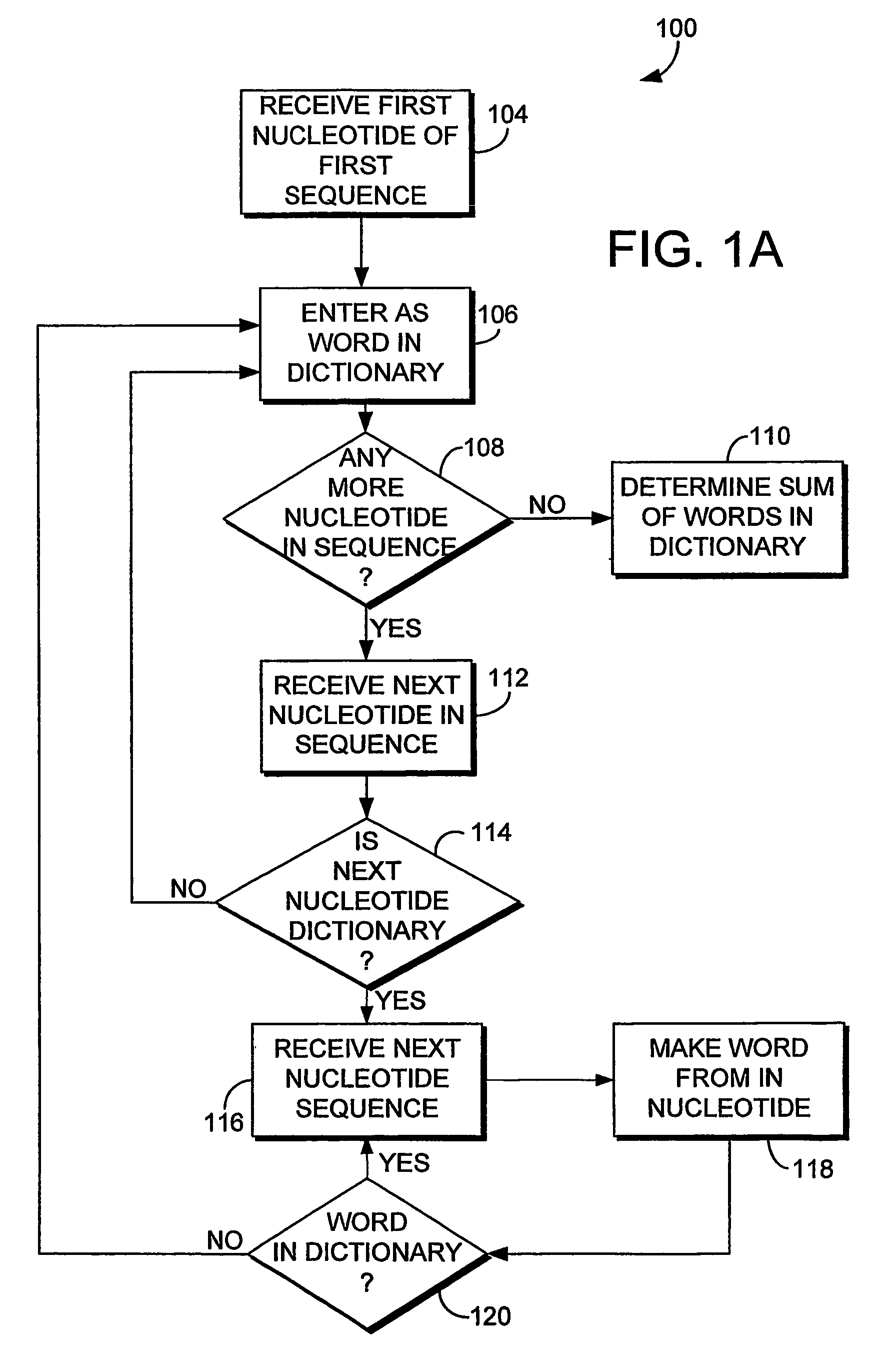 System and method for sequence distance measure for phylogenetic tree construction