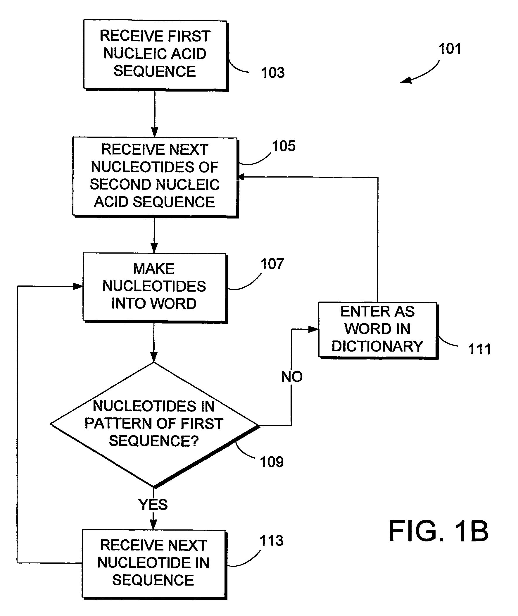 System and method for sequence distance measure for phylogenetic tree construction