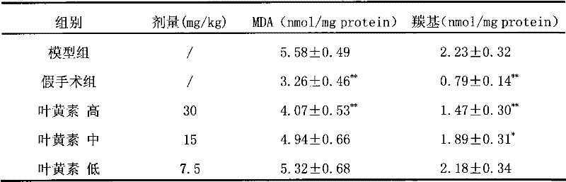 Application of lutein in preparation of medicaments for preventing and treating cerebral vascular diseases