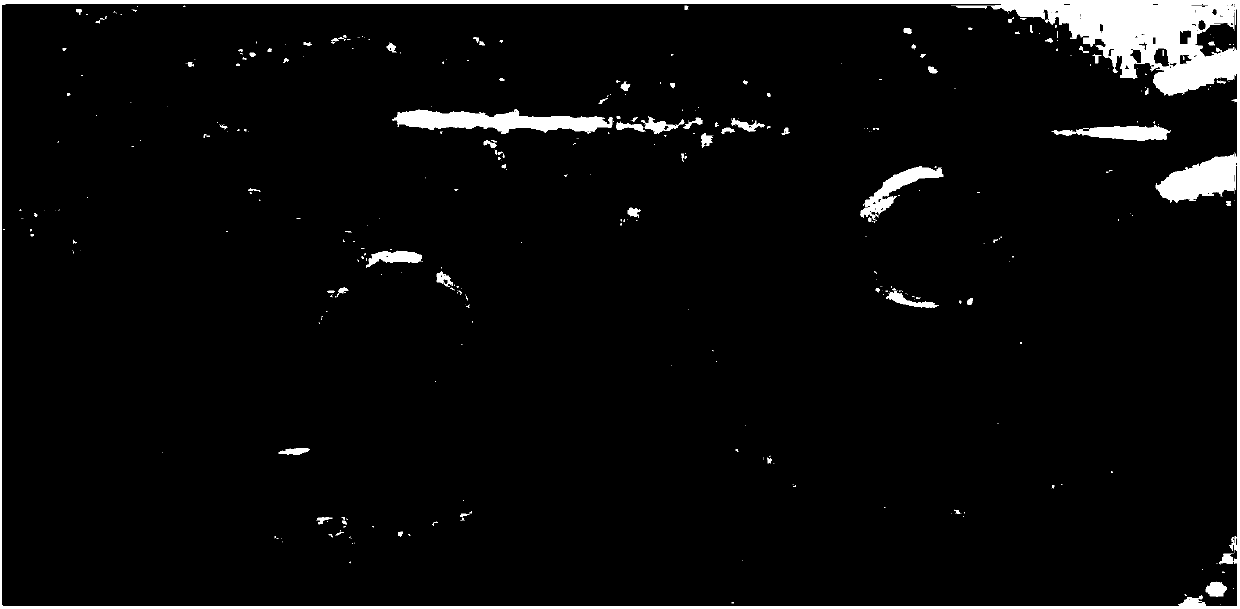 Microbial agent for preventing and treating bacterial plant diseases and application thereof