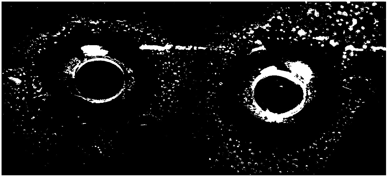 Microbial agent for preventing and treating bacterial plant diseases and application thereof