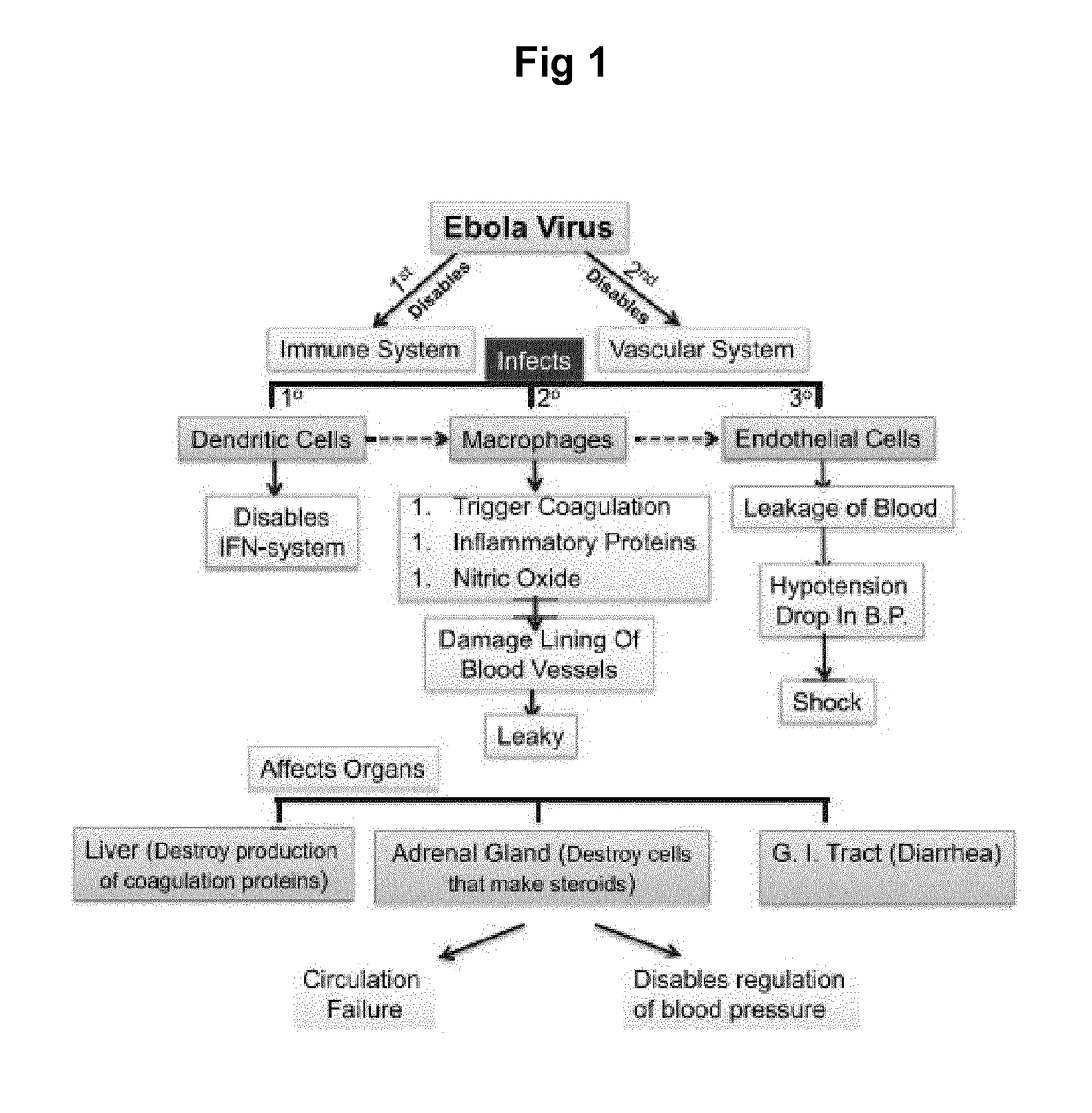 Therapeutic composition comprising annexin v