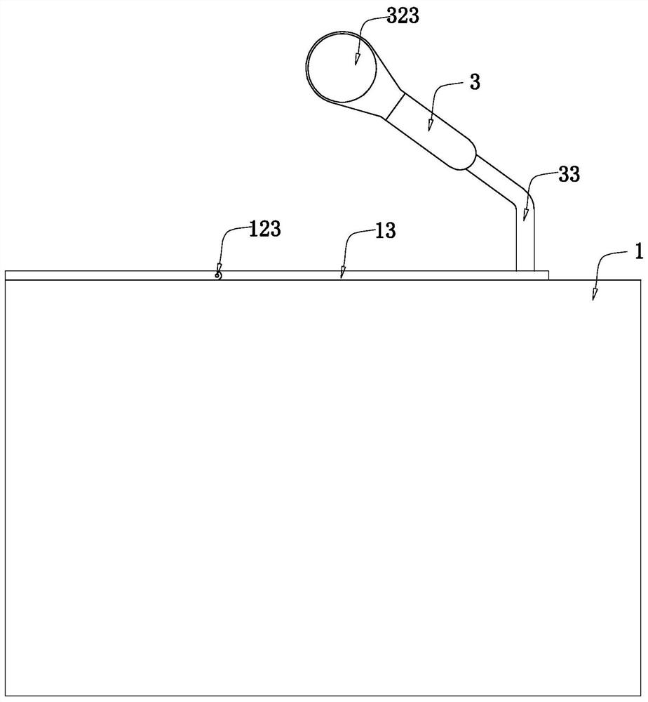 Genital care cleaning device