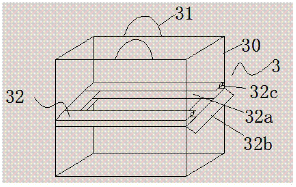 Gel electrophoresis dyeing device