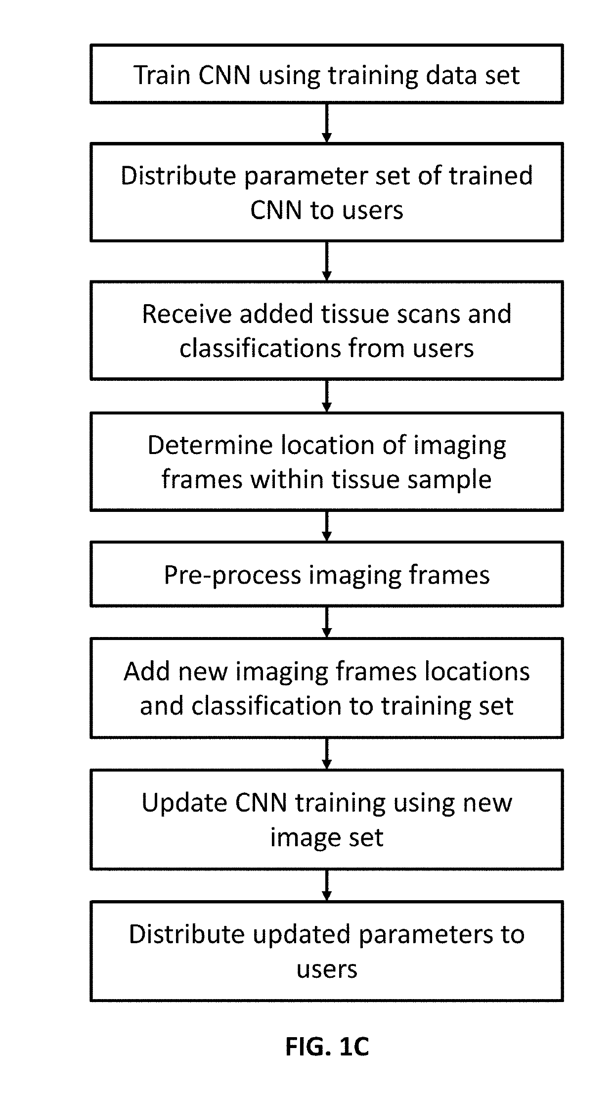 Optical coherence tomography for cancer screening and triage