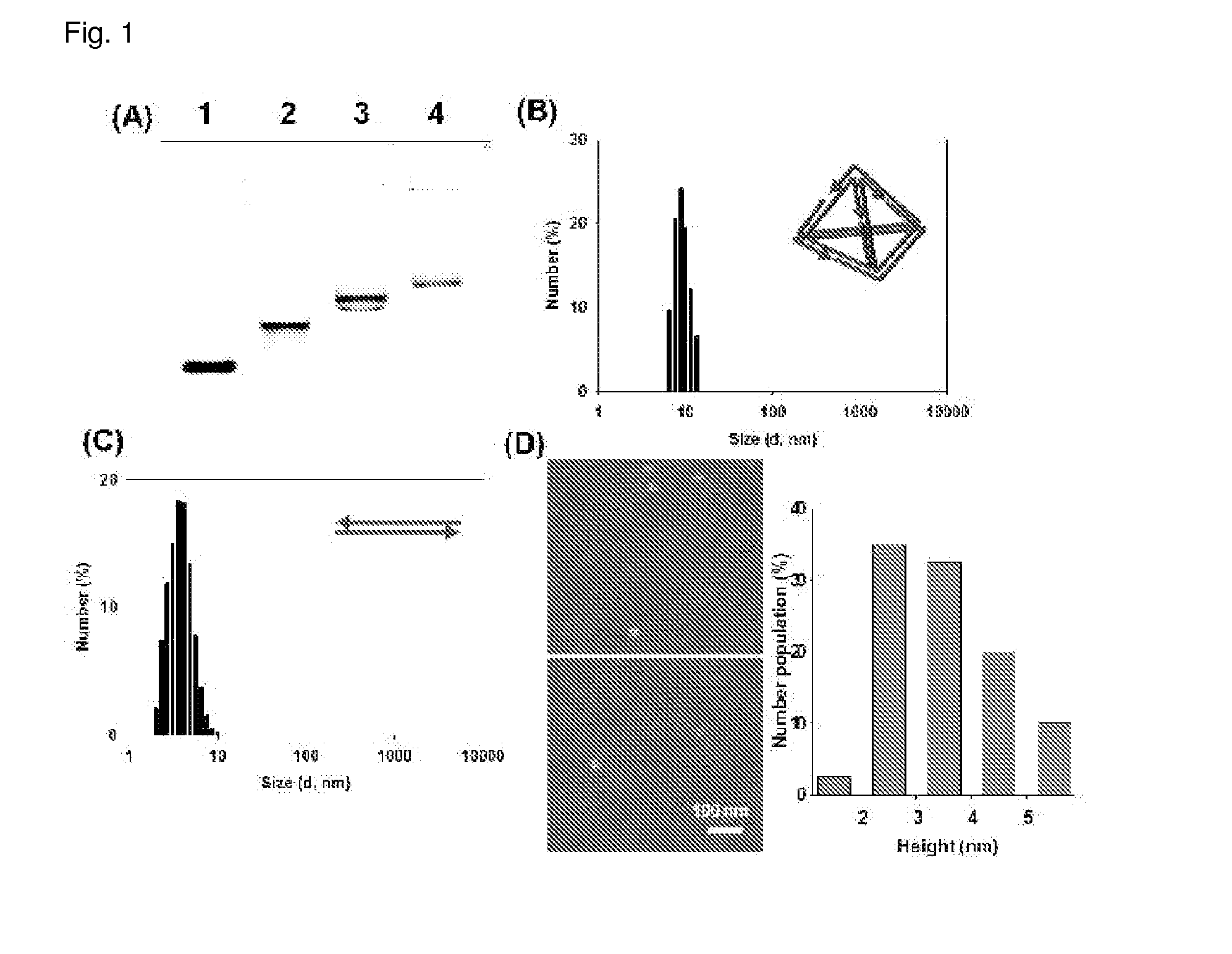 Contrast medium composition and method of bio imagination using the same