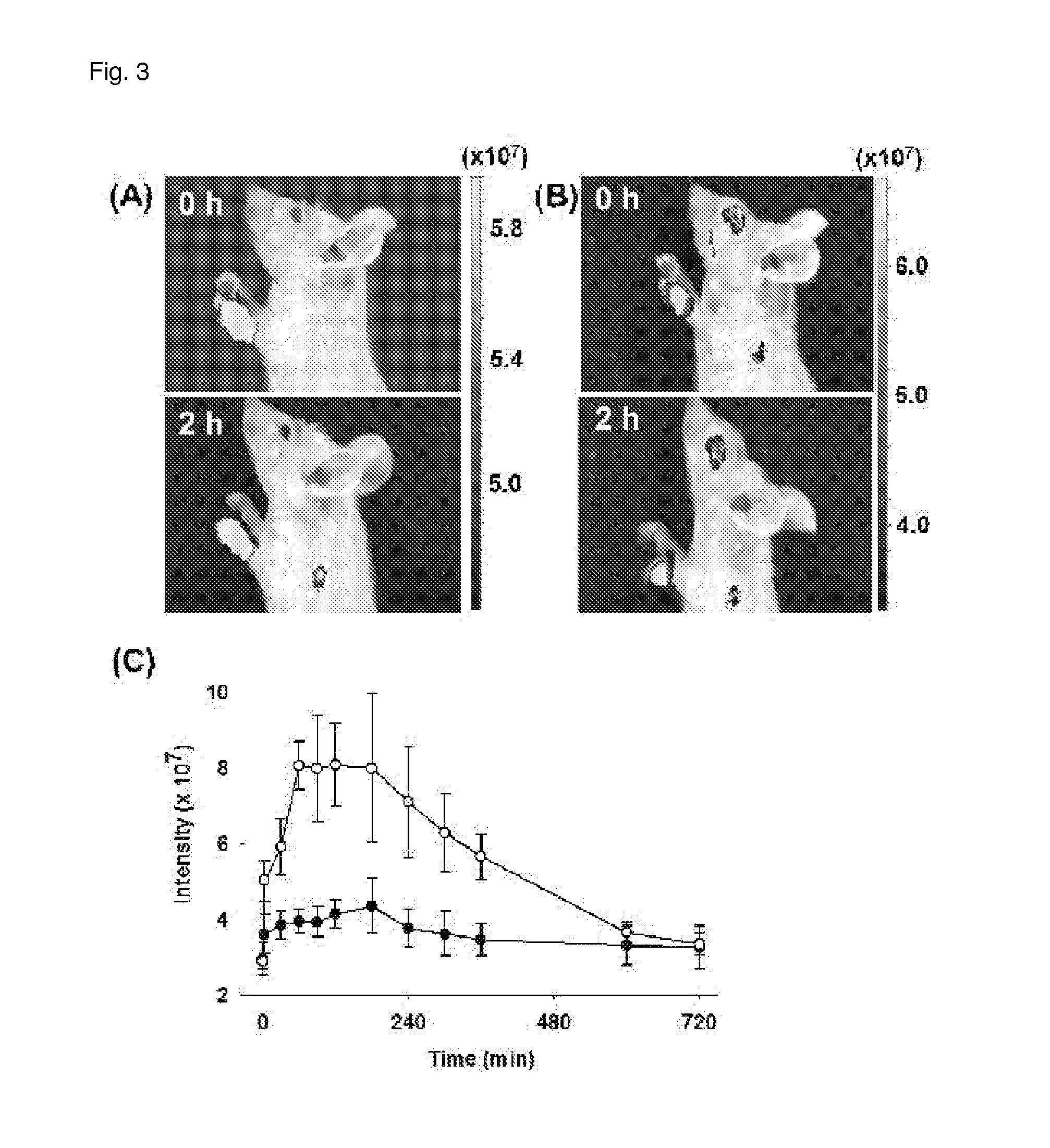 Contrast medium composition and method of bio imagination using the same