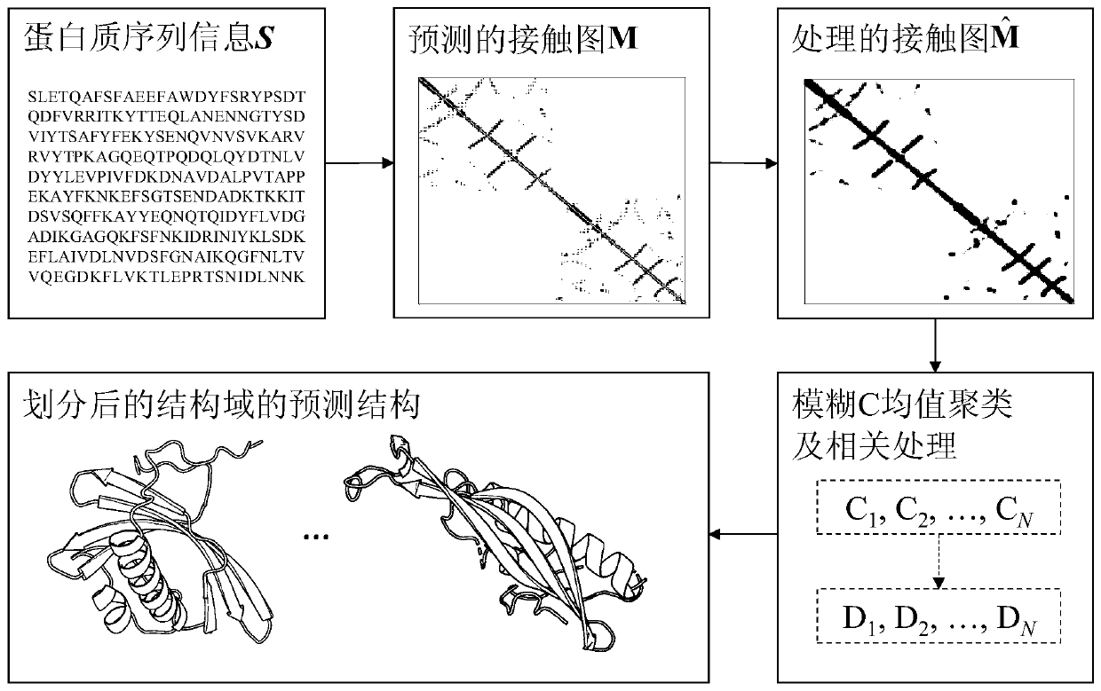 Protein structural domain division method based on contact graph and fuzzy C-means clustering