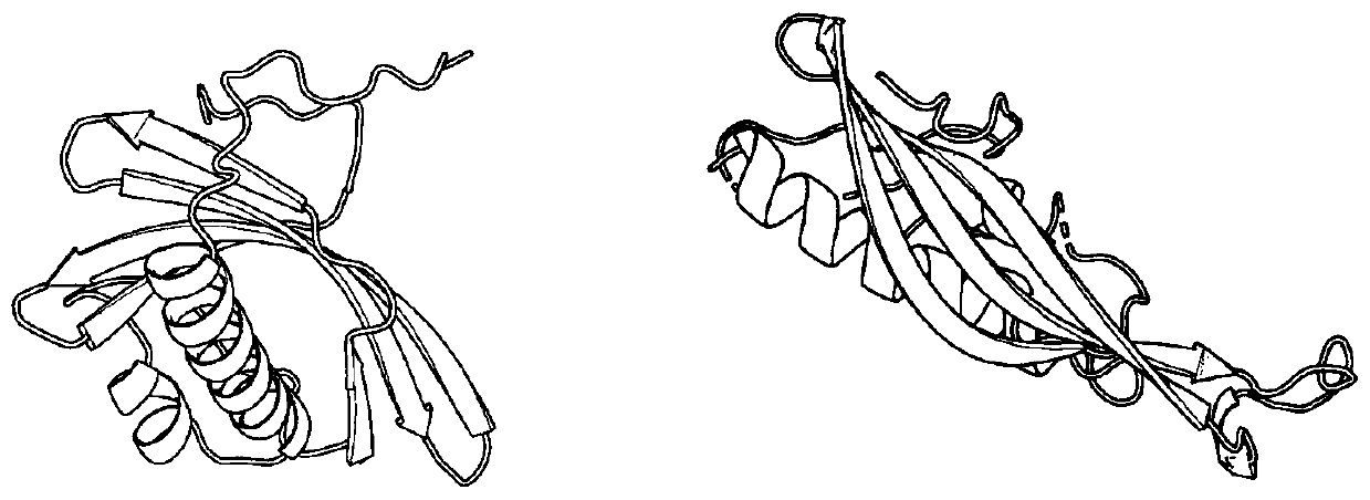 Protein structural domain division method based on contact graph and fuzzy C-means clustering