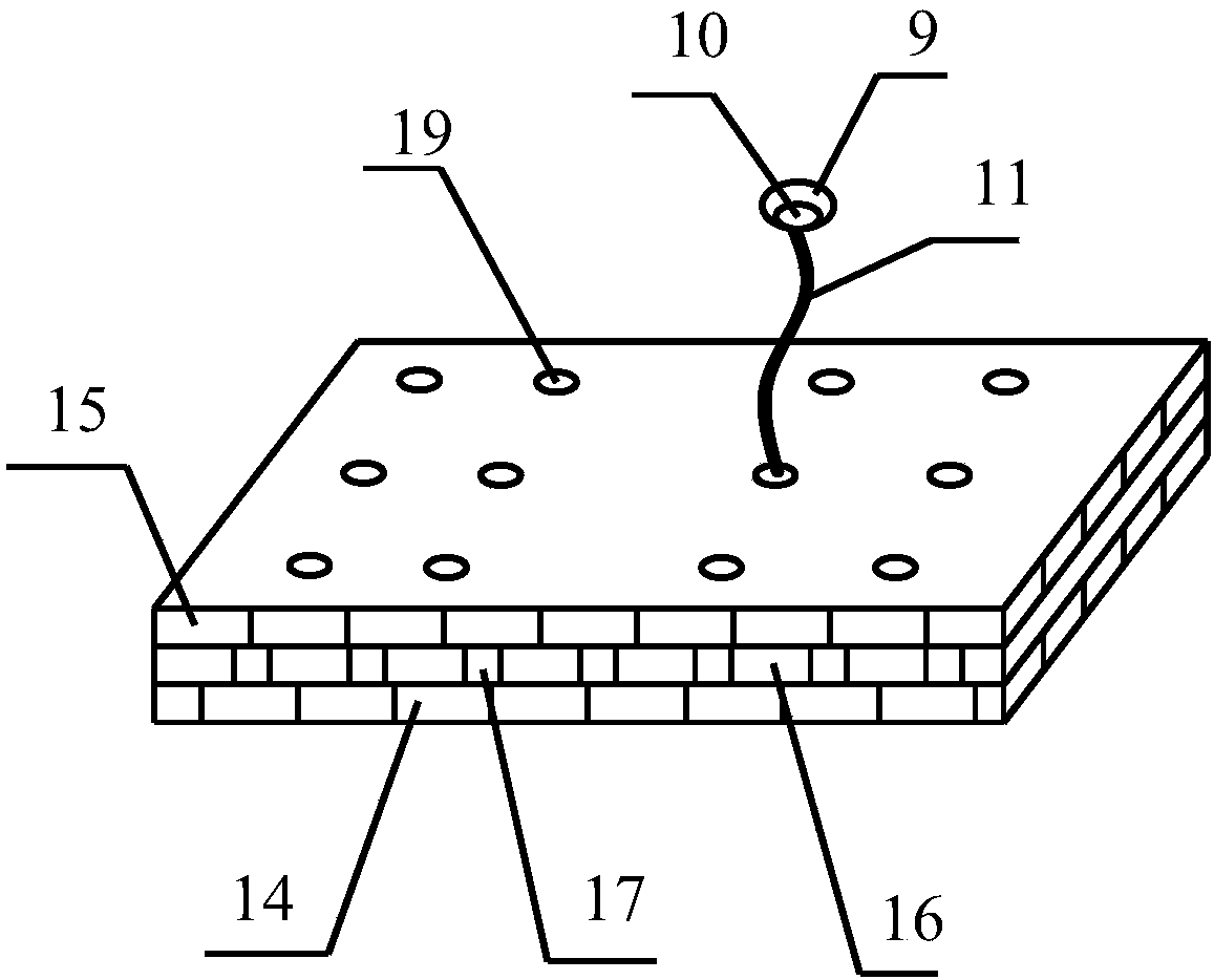 Ecological circulation-type waterfowl breeding device for purifying water quality by using aquatic plants