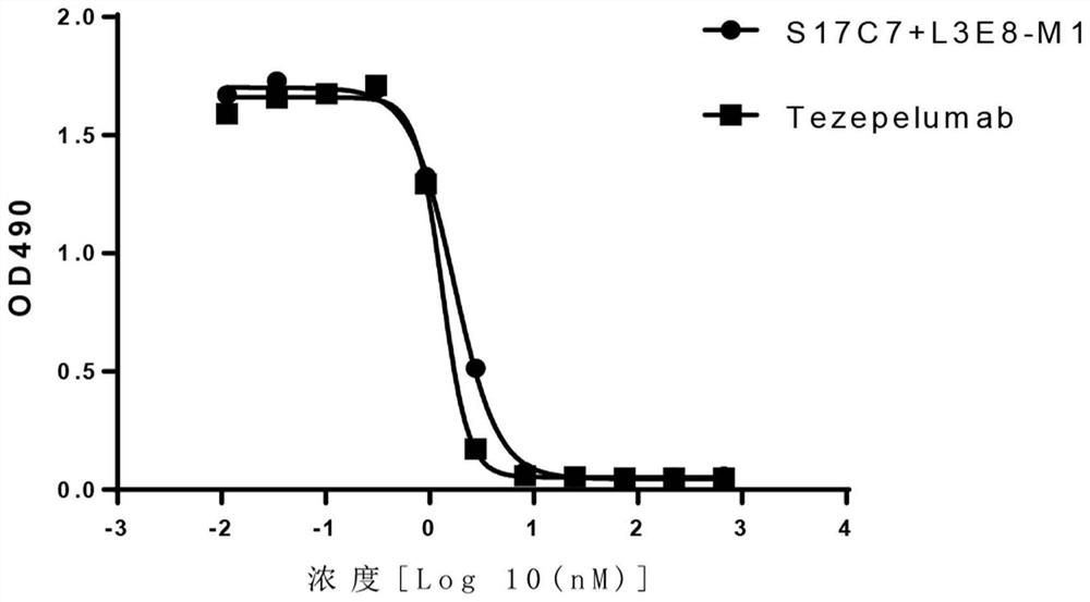 Multiple antibodies against human TSLP and uses thereof