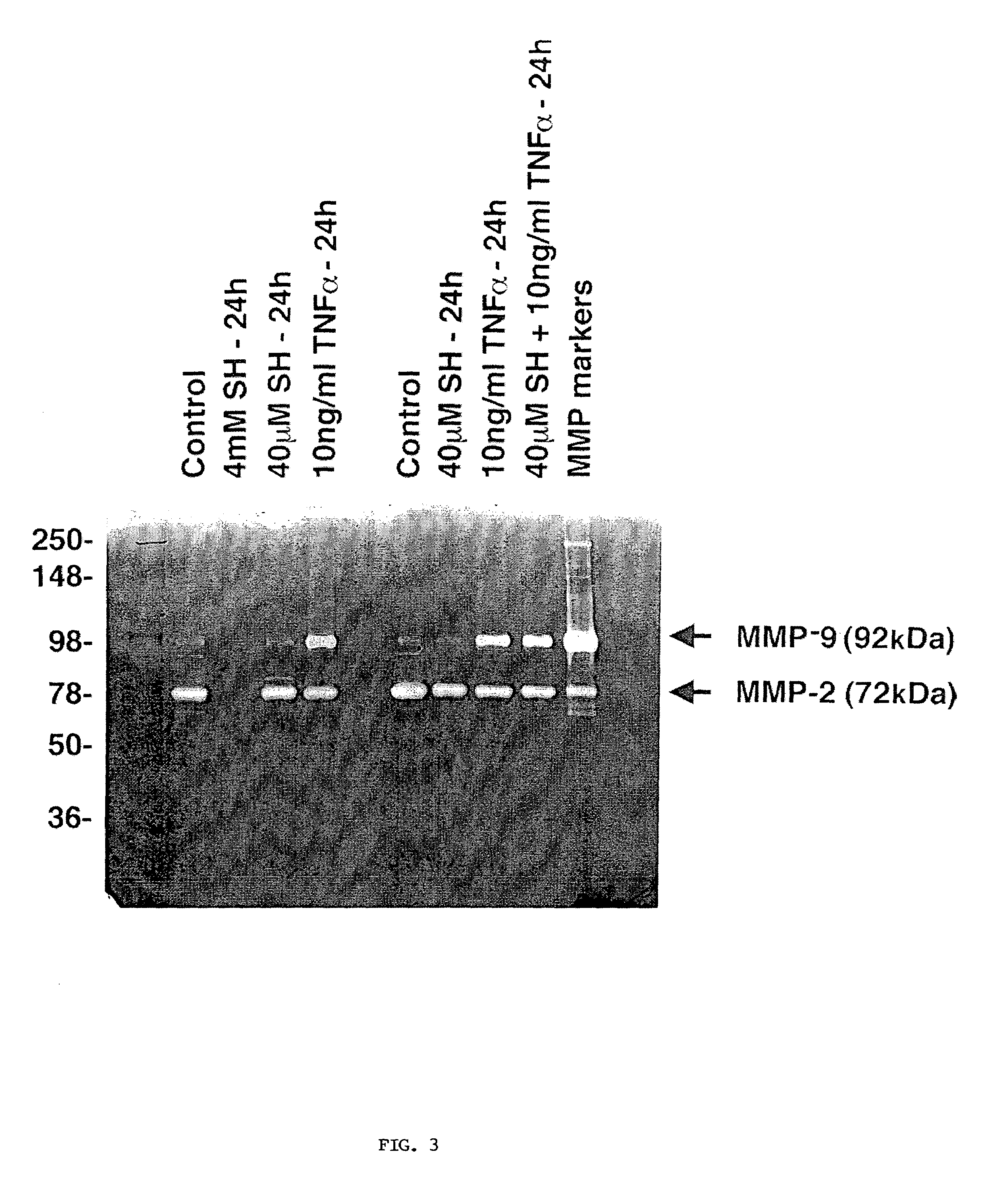 Method for protection against tumor metastasis formation