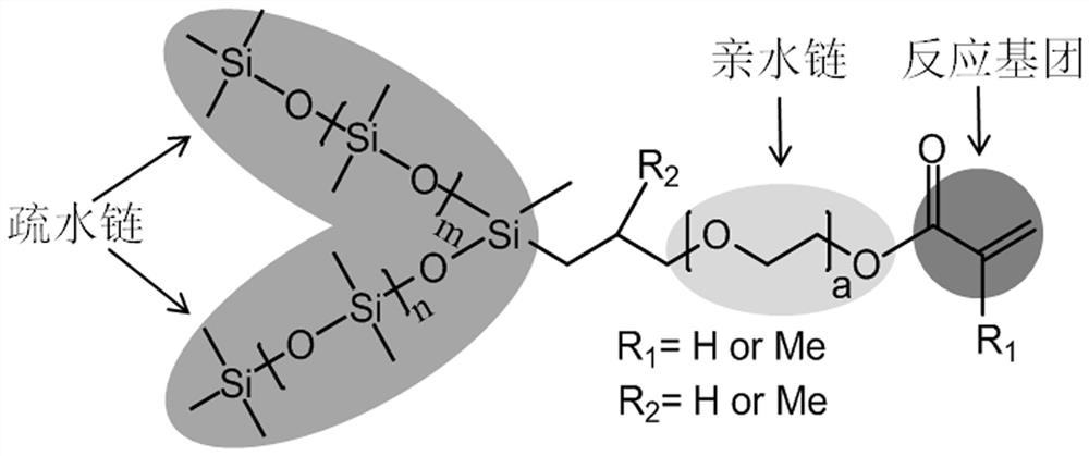 A kind of v-shaped polydimethylsiloxane polyoxyethylene ether monoacrylate and preparation method thereof