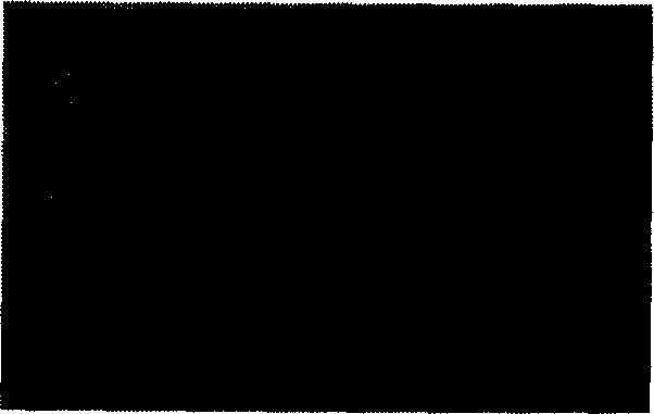 Tissue chip used for tumour early stage diagnosis and preparation device