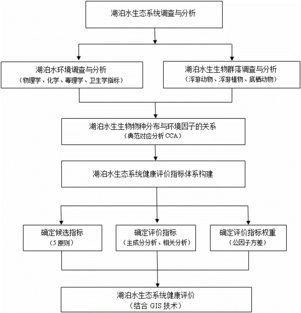 Health assessment method based on lake water ecosystem